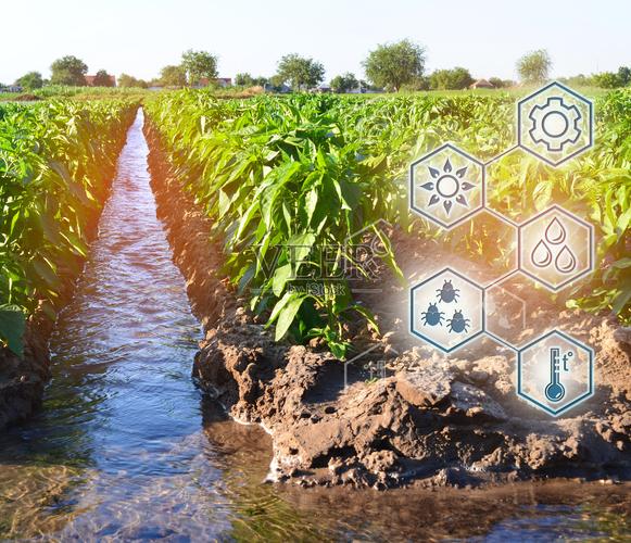 自然浇水与高技术农业的融合 土壤与作物质量的科学探索